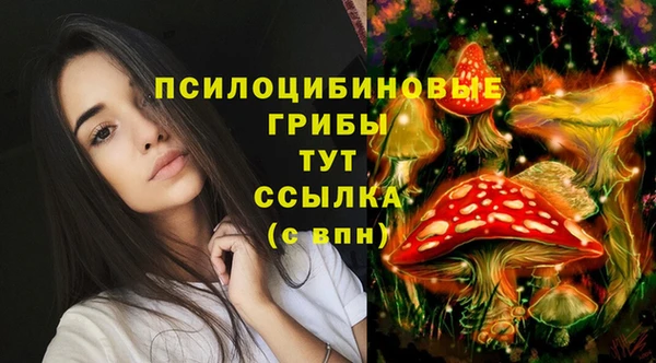 гашик Алексеевка