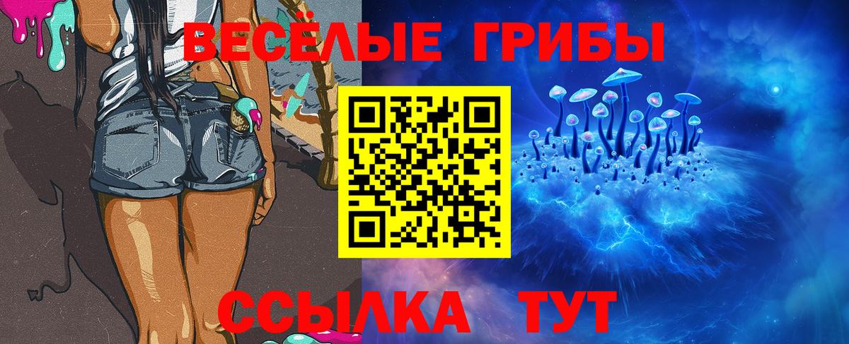 Ижевск  Псилоцибиновые грибы Magic Shrooms  наркотики  Вход с VPN  Псилоцибиновые грибы Magic Shrooms 